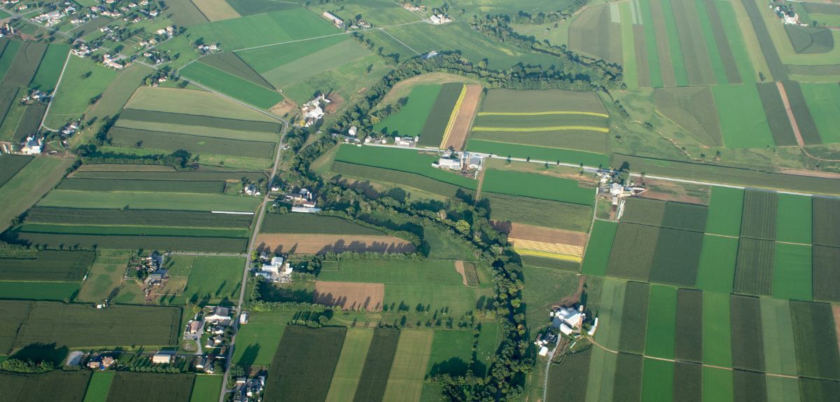 Sztuczny podział gospodarstwa. Co z dopłatami? NSA wystąpi do TSUE