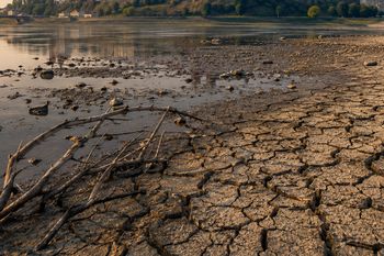 Hydrogeologiczny alarm dla Płocka. Państwowy Instytut Geologiczny ostrzega przed rekordową niżówką!