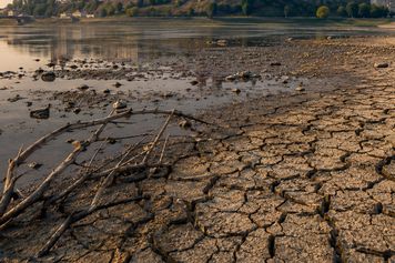 Hydrogeologiczny alarm dla Płocka. Państwowy Instytut Geologiczny ostrzega przed rekordową niżówką!