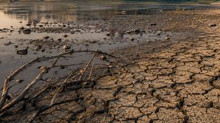Hydrogeologiczny alarm dla Płocka. Państwowy Instytut Geologiczny ostrzega przed rekordową niżówką!