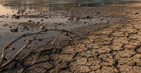 Hydrogeologiczny alarm dla Płocka. Państwowy Instytut Geologiczny ostrzega przed rekordową niżówką!