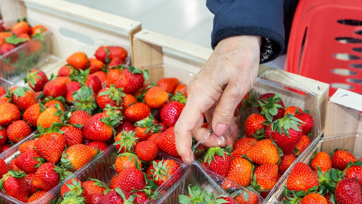 Strawberries in a container - choosing and buying farm berries and fruits in a supermarket
Strawberries in a container - choosing and buying farm berries and fruits in a supermarket.
rbkomar