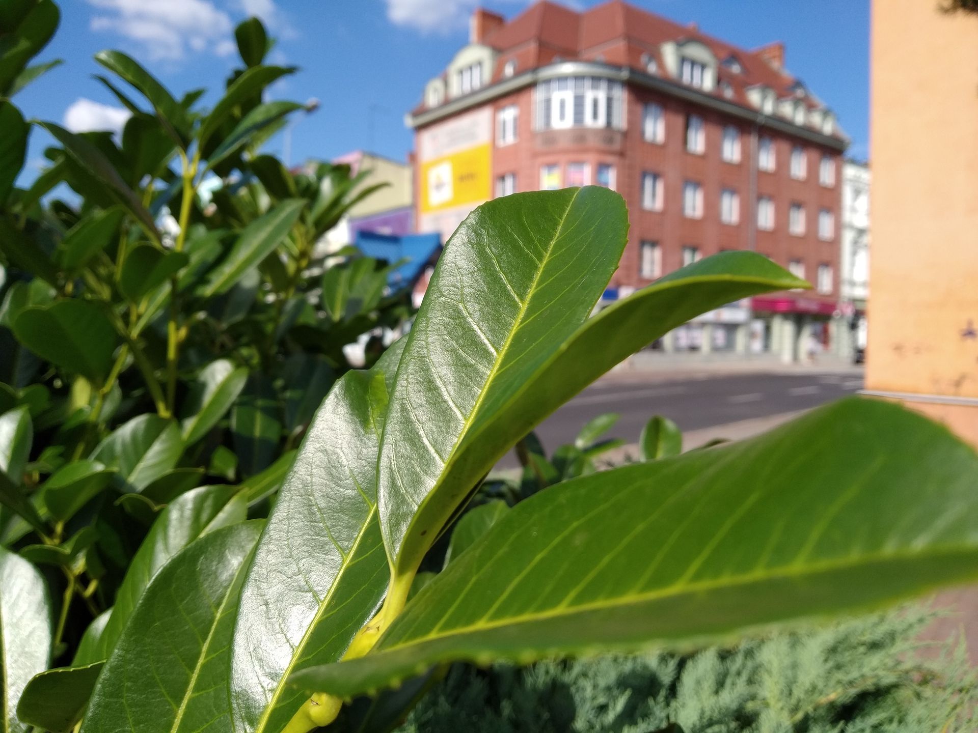 Xiaomi Mi A2 Lite - pierwsze wrażenia 18