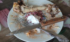 Gdzie wyrzucić kości z kurczaka? Błąd często się powtarza