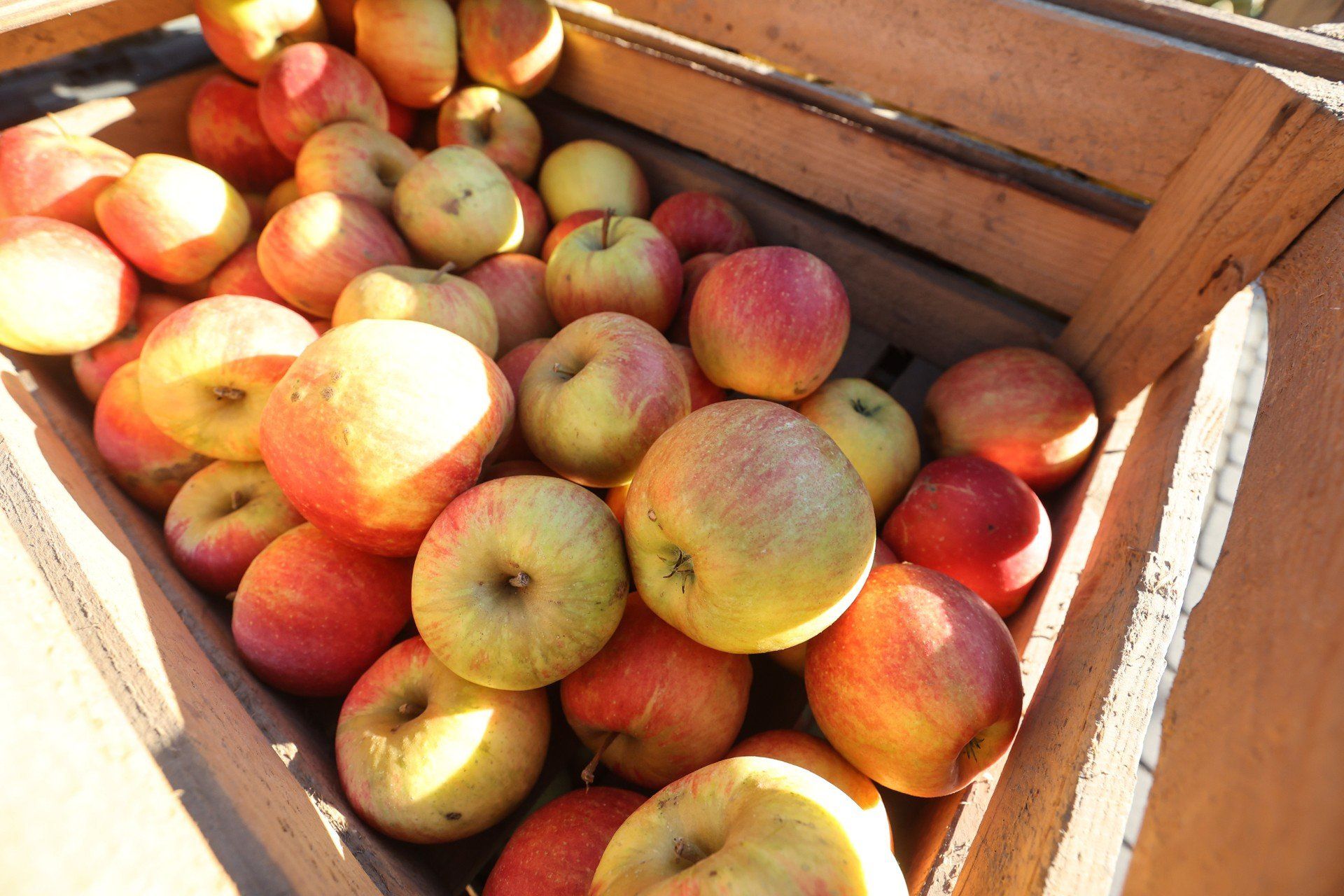 Jesienny Podkarpacki Bazarek w Parku Papieskim Rzeszowie