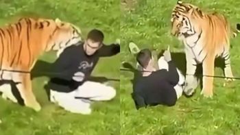 Dramatyczne kulisy tragedii w brytyjskim zoo. Mężczyzna zabity przez tygrysa prawdopodobnie był w spektrum. "Chciał się po prostu POBAWIĆ"