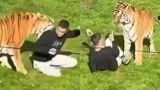 Dramatyczne kulisy tragedii w brytyjskim zoo. Mężczyzna zabity przez tygrysa prawdopodobnie był w spektrum. "Chciał się po prostu POBAWIĆ"