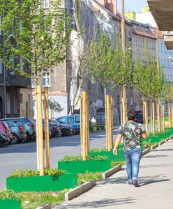 Dzień Ziemi. Wrocław na zielono. Startuje wyjątkowy festiwal C-Change