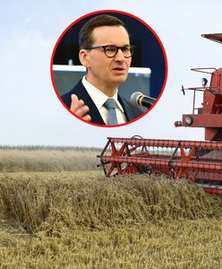 Znamy kwoty dopłat dla rolników. Pieniądze także za nawozy i paliwo