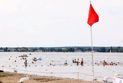 Zakwitły już sinice. Zamknięte kąpieliska na Pomorzu