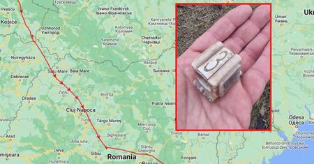 "Mamy smutne wieści". Leśnicy śledzili jego drogę