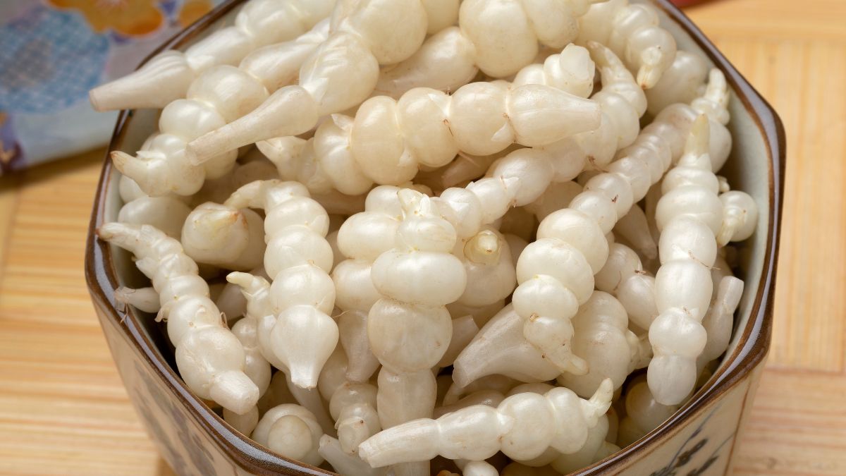 Czyściec bulwiasty to azjatycki zamiennik ziemniaków 