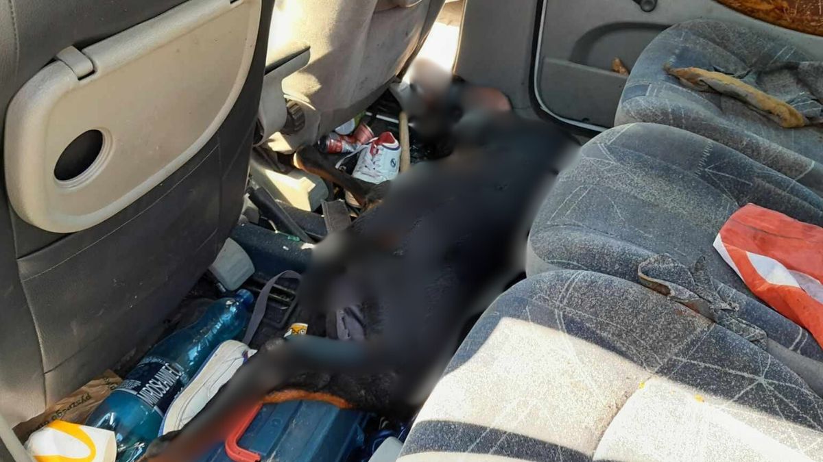 Doberman ugotował się w zamkniętym aucie. 