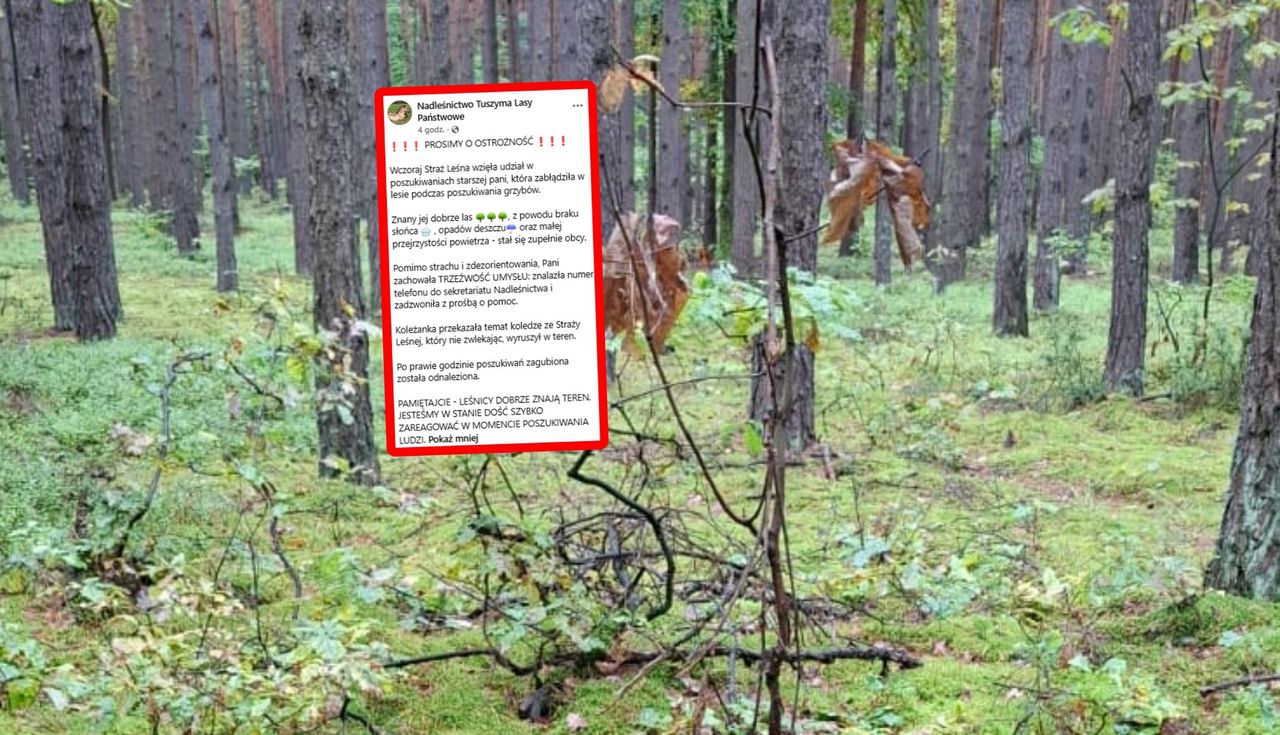 Leśnicy zwrócili się do grzybiarzy. Pilny apel. "Prosimy"