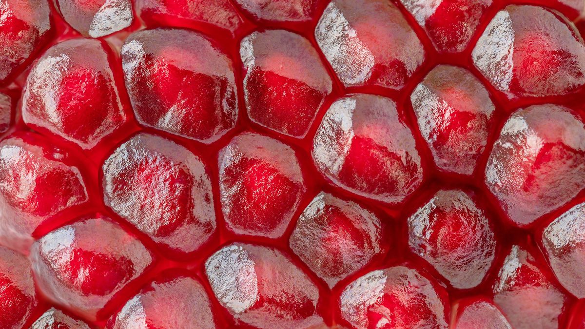 Pomegranate background
Fruit background of seeds red pomegranate
Iuliia Anisimova