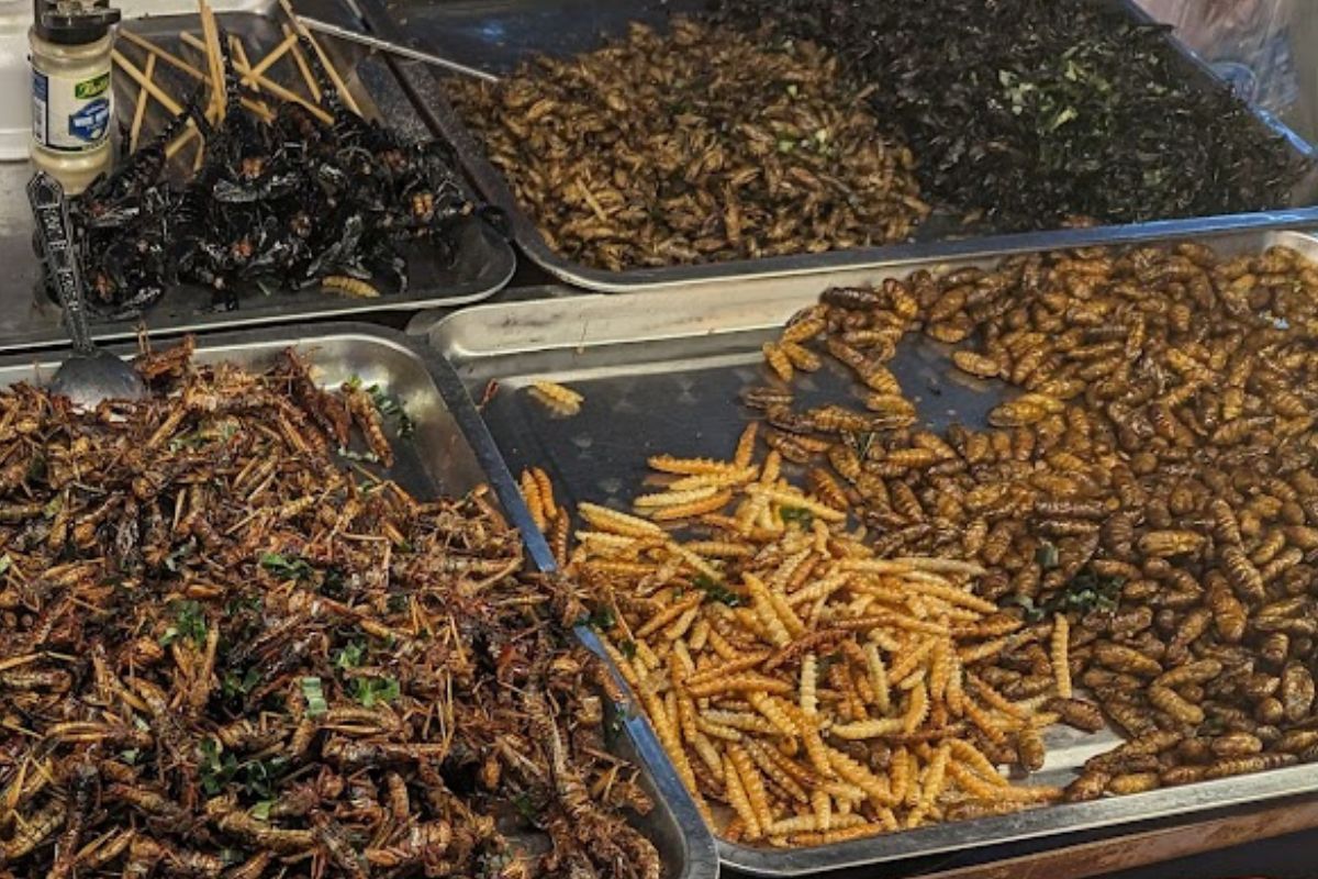 Worms sold on Yaowarat Road in Bangkok