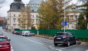 Łatwiej o parkowanie w centrum Katowic. Nowe strefy przynoszą pozytywne efekty