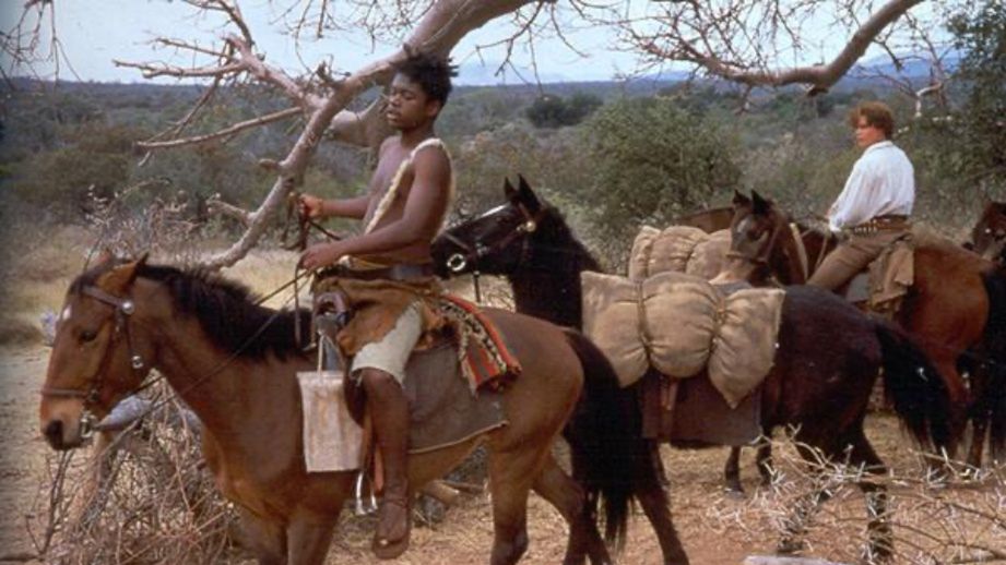 Chcą usunięcia "W pustyni i w puszczy" z listy lektur