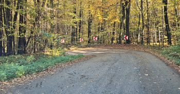 Alwernia: Zimowe zamknięcie serpentyn coraz bliżej. Niebezpieczna droga doczeka się remontu?