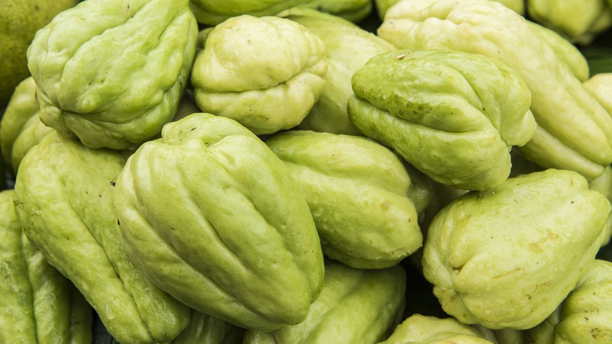 Jakie właściwości ma kolczoch jadalny?