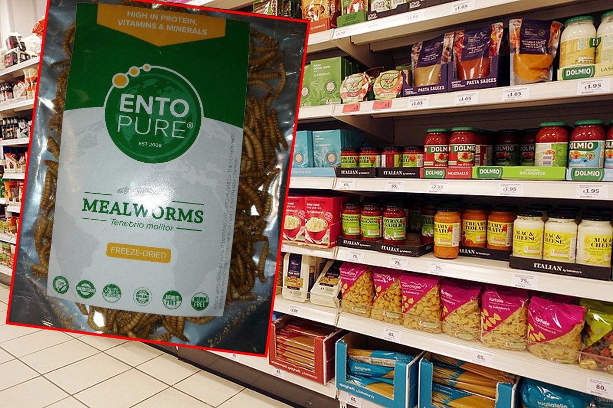 Unia wydała zgodę na "nową żywność". Będziemy jeść robaki. To coraz popularniejsze