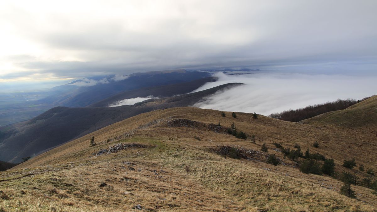 "Przypadek bez precedensu". Tajemnicza seria zgonów w Bułgarii
