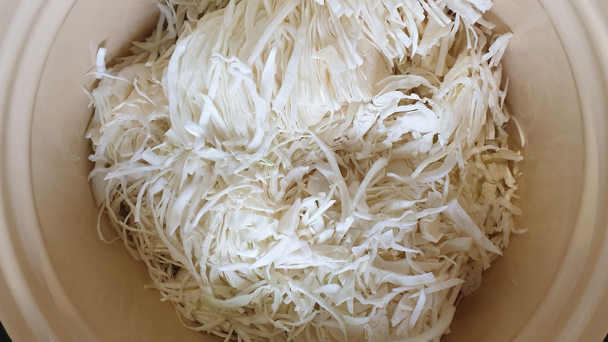 Warzywa kapustne inaczej zwane krzyżowymi to źródło zdrowia