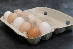 Salmonella na jajkach. GIS ostrzega