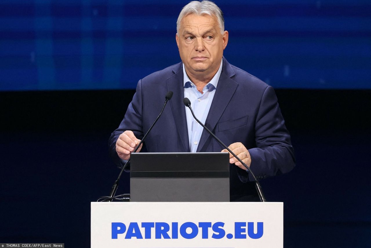 Media: tak Orban wpłynął na wyniki wyborów w Rumunii