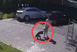 Małpa uciekła z posesji milionera. Zmasakrowała 2-latkę