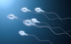 Spermiogram – wyniki, wskazania, przygotowanie