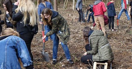 Przyjdź i posadź swoje drzewo. Nadleśnictwo Lubartów zaprasza na wspólną akcję