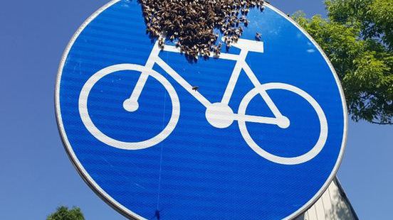 Warszawa. Ciekawe miejsce odpoczynku roku pszczół. Przysiadły na rowerze wymalowanym na znaku drogowym, ustawionym przy ścieżce rowerowej na Żeraniu