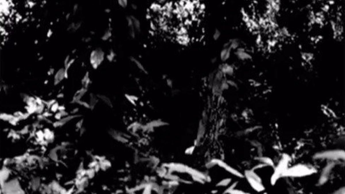 Na zdjęciu ukryty jest ważny szczegół