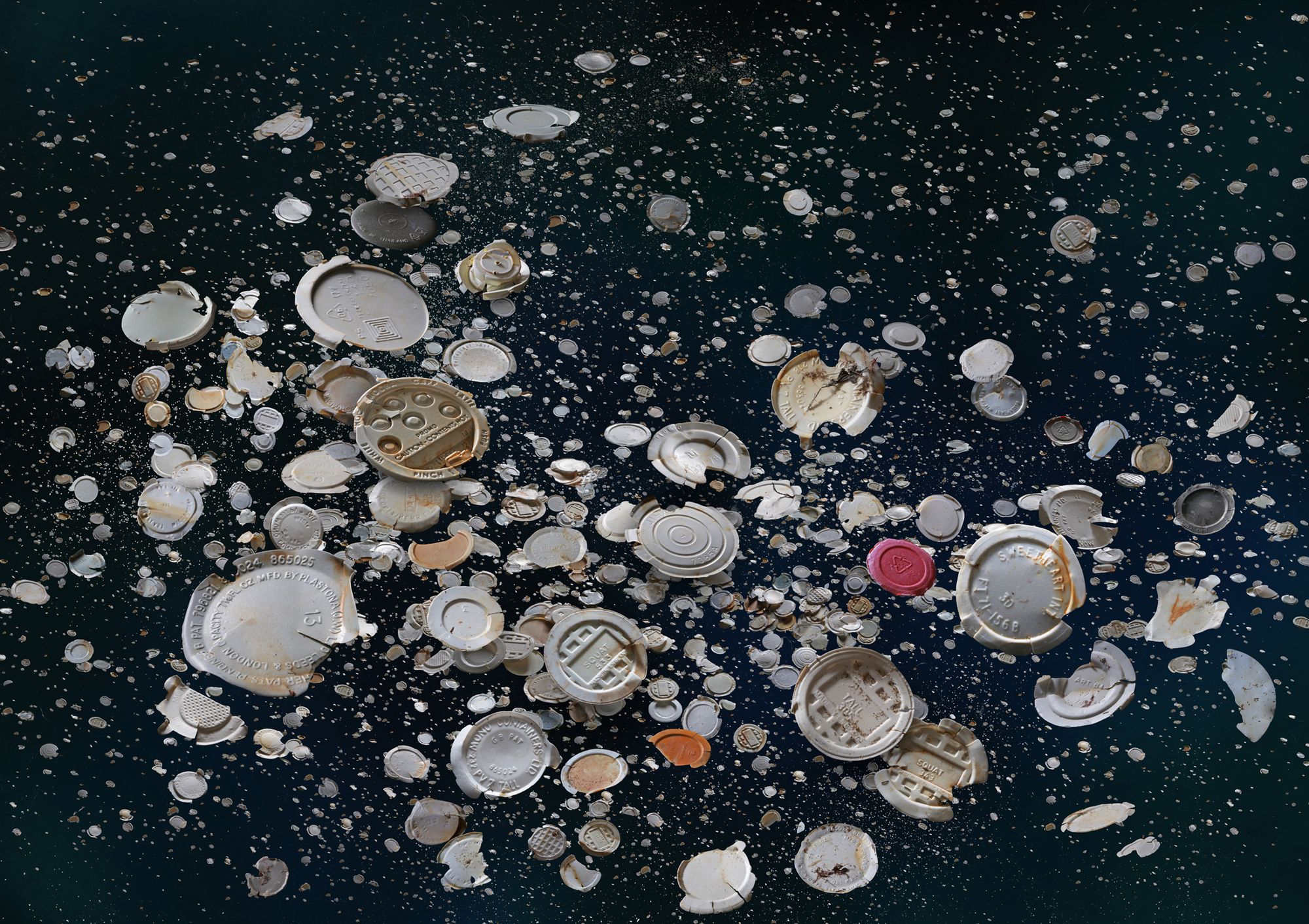 Martwa natura oceanu. Mandy Barker pokazuje, jak plastik zabija świat 4