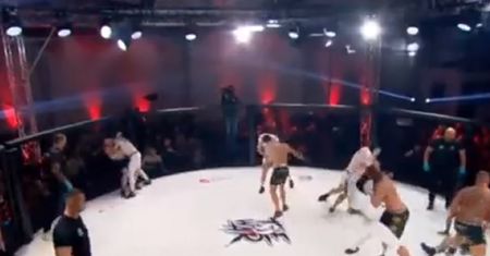 Ta gala budzi przerażenie. Chcą zrobić wojnę w klatce