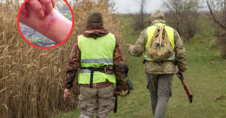 Najwięcej zakożonych na Podlasiu. Nawet 15 razy więcej przypadków