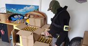 "Bimber z bagażnika i stodoły" – 69-latek z powiatu poddębickiego stracił 434 litry nielegalnego alkoholu