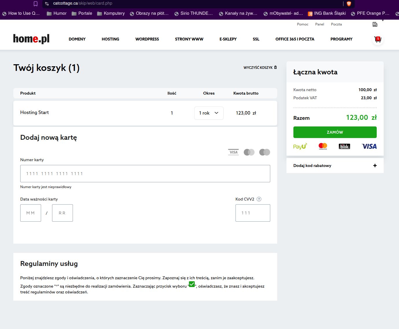 Fałszywa strona płatności