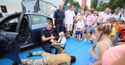 Pokazy sprzętu kontrterrosystów i masa innych atrakcji