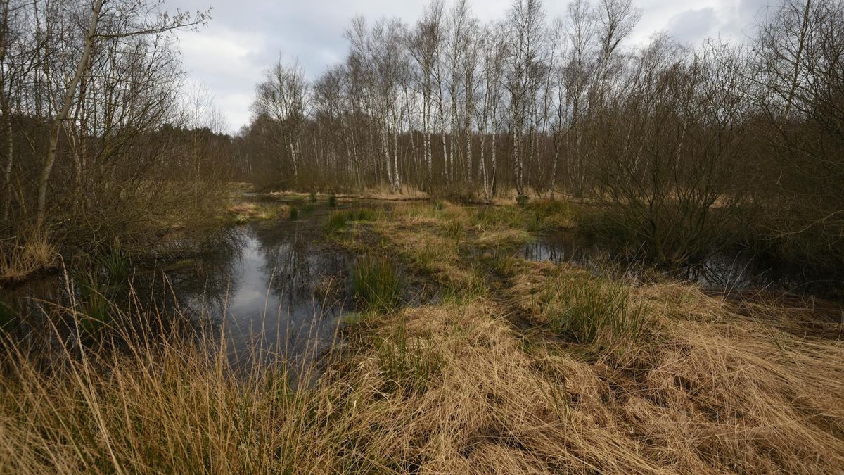 Najbardziej skażone jezioro świata znajdowało się w Rosji 