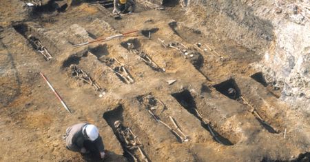 Czarna śmierć pozostawiła trwały ślad w naszym DNA