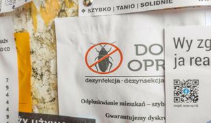 Polskie miasto walczy z plagą pluskiew. Problem w co trzecim bloku