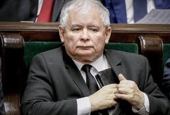 Kaczyński "manipuluje" złotym prawie tak, jak Trump dolarem. Euro poniżej 4,30 zł