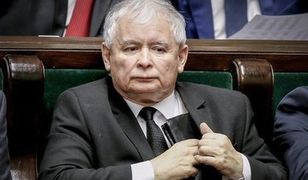 Kaczyński "manipuluje" złotym prawie tak, jak Trump dolarem. Euro poniżej 4,30 zł
