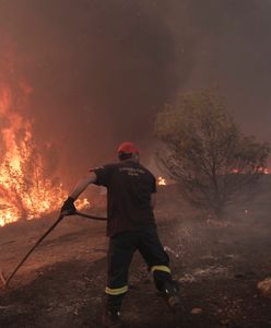 Grecja ponownie w ogniu. Koszmar spod Aten powrócił