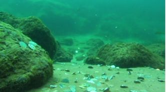 Ekolodzy odnieśli sukces w Afryce