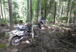 Jaki jest mandat za jazdę motocyklem crossowym lub quadem po lesie?
