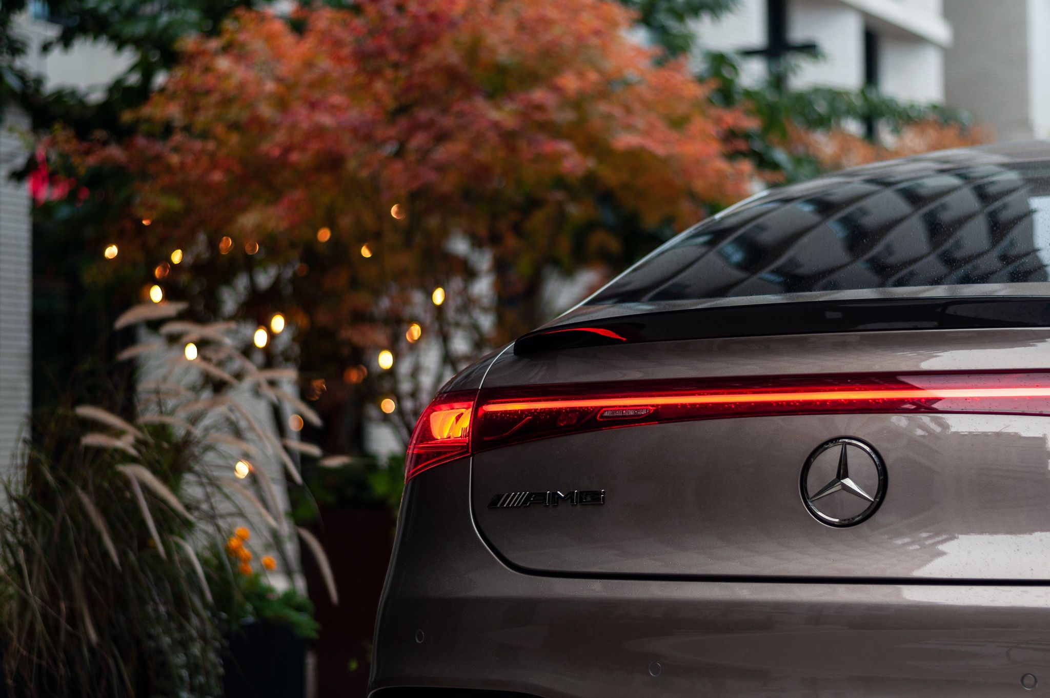 Mercedes-AMG EQS 53 4Matic+ Performance Plus
