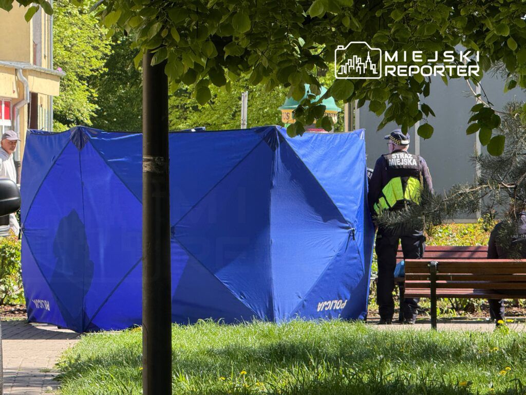 Fot. Miejski Reporter